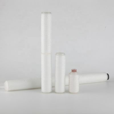 Replaceable 0.22 Micron Absolute Membrane Sterilized Pleated Filter Cartridge 10 Inch