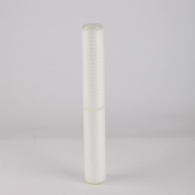 20 Inch Pleated Filter with 0.22 0.45 Micron PTFE Membrane and Video Technical Support