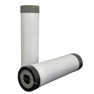 10inch Household Activated Carbon Filter with Food Grade Polypropylene Shell Material